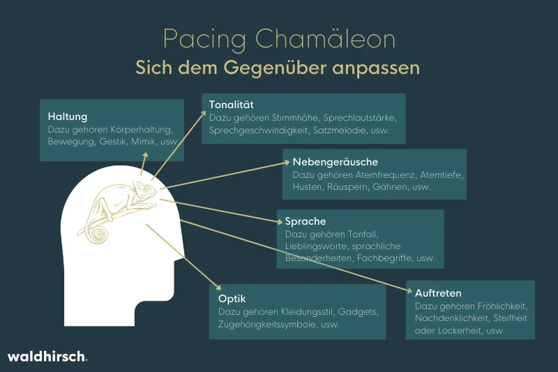 Grafik zur Erklärung des Pacing anhand des Chamaeleon-Effekts
