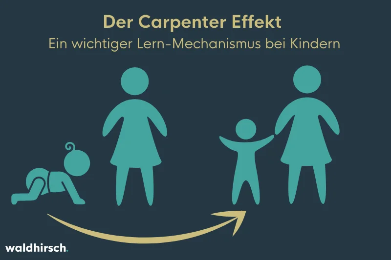 Grafik mit einem Kleinkind, das laufen lernt, und seiner Mutter zur Darstellung des Carpenter Effekts als Lern-Mechanismus