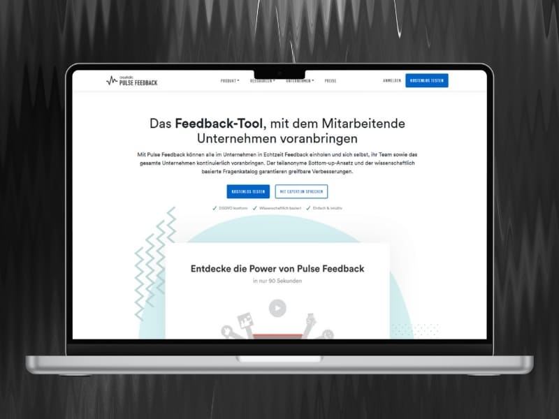 Website von Pulse
